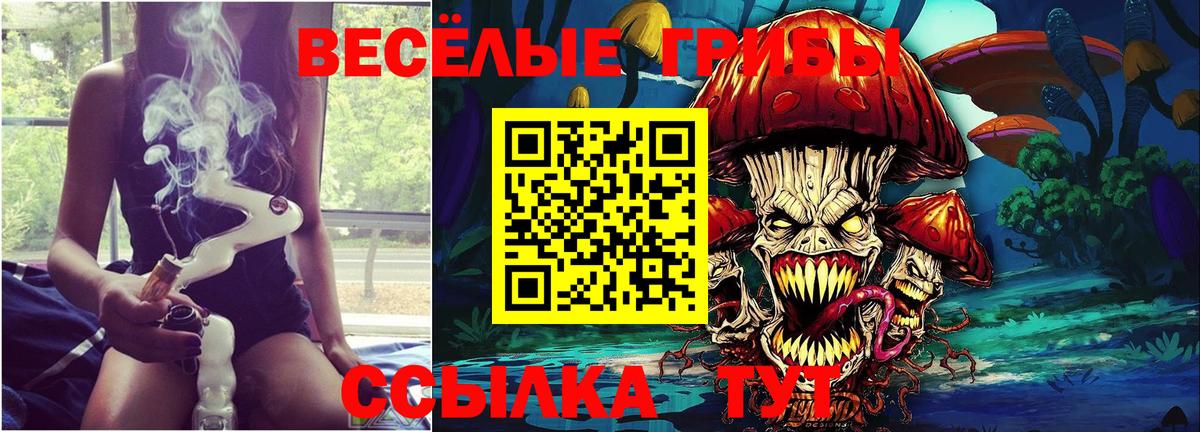 Галлюциногенные грибы мицелий  магазин продажи   Туймазы  Вход с VPN 